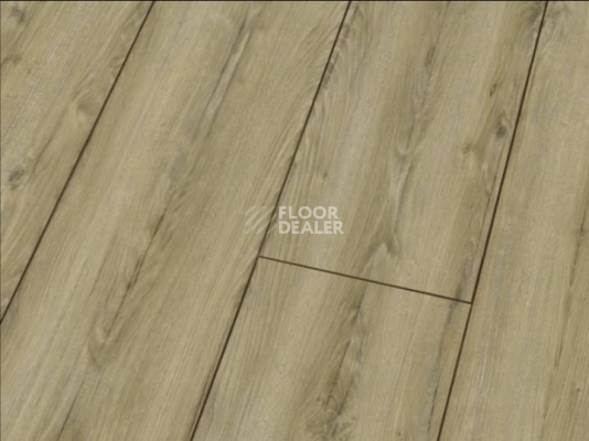 Ламинат Falquon Blue Line Wood 8mm D3545 WINZER OAK фото 1 | FLOORDEALER